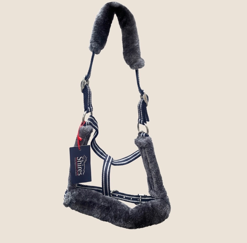 For the Stable
