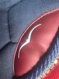 Animo Animo Wipper Jump Saddlepad — Good — Equi Consignment Ireland (view 6)