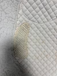 Wilker's Wilker's Saddle Pad — Good — Equi Consignment Ireland (view 6)