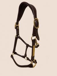 Kentucky Horsewear Kentucky Horsewear Anatomic Headcollar — Excellent — Equi Consignment Ireland (view 3)