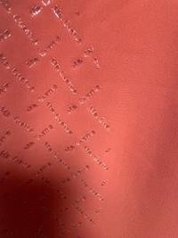 Mr Castle Mr Castle Women's Terracotta Breeches — Good — Equi Consignment Ireland (view 5)