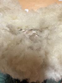 BARTL BARTL Sheepskin Half Pad — Good — Equi Consignment Ireland (view 6)