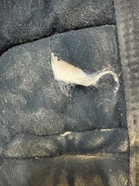 Premier Equine Premier Equine Ballistic Knee Pro-Tech Horse Travel Boots — Good — Equi Consignment Ireland (view 7)