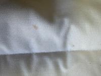 Poly Pad Poly Pad Saddle Pad — Good — Equi Consignment Ireland (view 4)