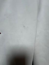 Make be Make Be Women’s Anna Competition Breeches  — Good with defects — Equi Consignment Ireland (view 6)