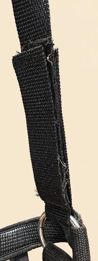 Shires Shires Nylon Grazing Muzzle — Good — Equi Consignment Ireland (view 3)