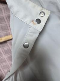 Cavalleria Toscana Cavalleria Toscana Women’s Show Shirt — Used — Equi Consignment Ireland (view 9)