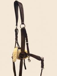 Mark Todd Mark Todd 5-Point Breastplate  — Good — Equi Consignment Ireland (view 2)